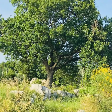 Casale Delle Querce